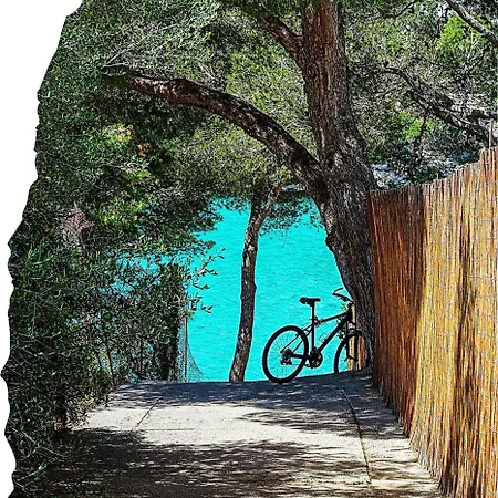 Castell Bohio Bellissimo Urbanicacion ses palmeres